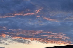 20230715_213654-Kopie-Kopie