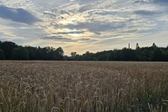 20230716_200603-Kopie-Kopie