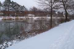 IMG-20210209-WA0078-Kopie-Kopie