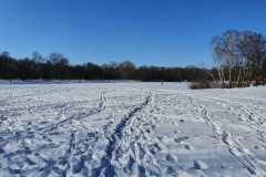 IMG-20210211-WA0026-Kopie-Kopie