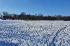 IMG-20210211-WA0027-Kopie-Kopie