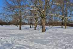 IMG-20210211-WA0028-Kopie-Kopie
