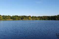 IMG-20210908-WA0044-Kopie-Kopie
