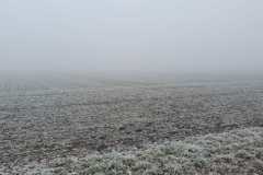 IMG-20211221-WA0014-Kopie-Kopie