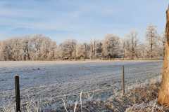 IMG-20211222-WA0006-Kopie-Kopie