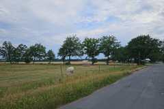 IMG-20230715-WA0012-Kopie-Kopie