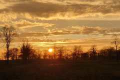 IMG-20230715-WA0023-Kopie-Kopie